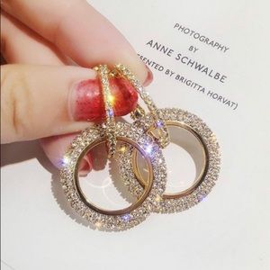 Double hoop crystal earring